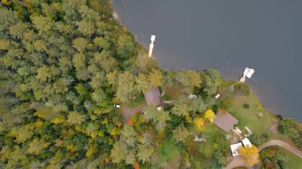 Vista Volo Uccello Cottage Lago Circondato Bellissimi Pini Durante Stagione — Video Stock