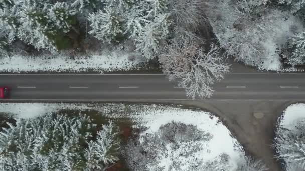 Winterausflug Mit Lkw Und Autos Auf Gerader Straße Verschneiter Landschaft — Stockvideo