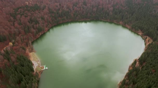 Bird Eye Ascending Shot Lake Sfanta Ana Crater Ciomadul Volcano — Stock Video