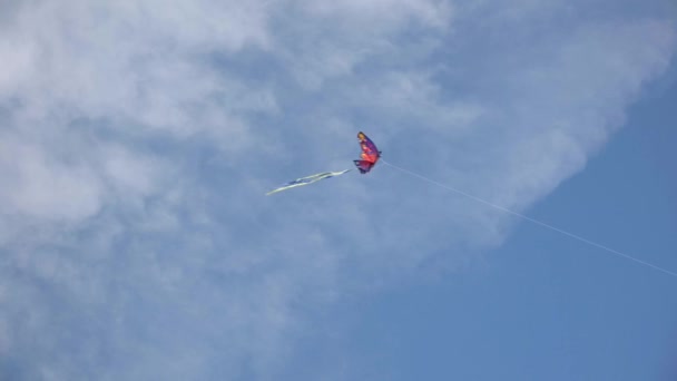 Kleurrijke Butterfly Vlieger Zachtjes Vliegen Heldere Blauwe Lucht — Stockvideo