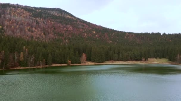 Basso Cavalcavia Sopra Lago Sfanta Ana Verso Foresta Collina Sulla — Video Stock