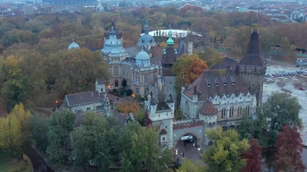 Vajdahunyad Castle Isolate Exterior Facade View Hungarian City Park — Stock Video