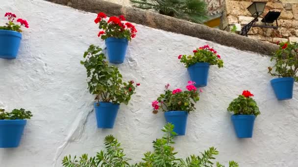 Rua Típica Espanhola Cidade Velha Marbella Com Belos Vasos Flores — Vídeo de Stock