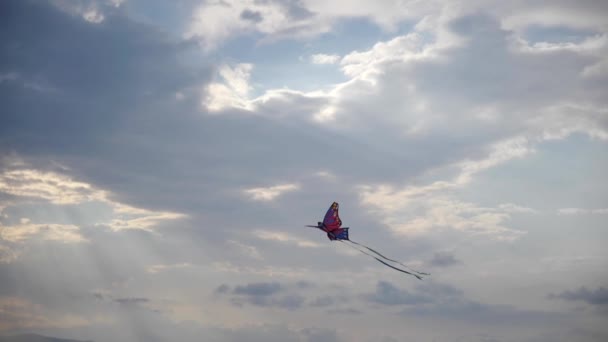 Kleurrijke Vlinder Vlieger Vliegen Winderige Dag Met Wolken Achtergrond Wijd — Stockvideo