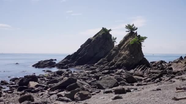 Formaciones Twin Jagged Rock Costa Isla Tomogashima Wakayama Japón — Vídeos de Stock