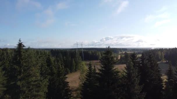 Belle Prise Vue Aérienne Élevant Dessus Des Forêts Dans Parc — Video