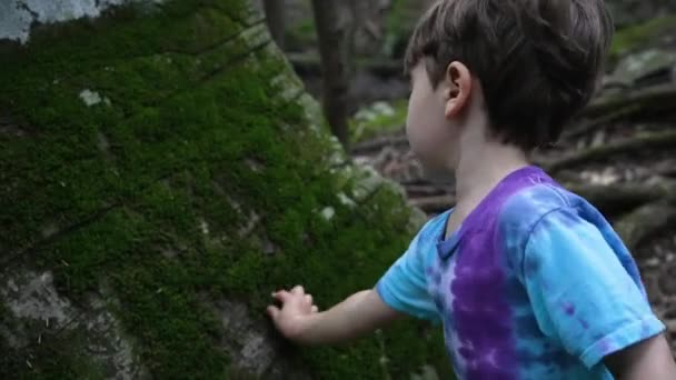 Παιδί Παίζει Βρύα Στο Φλοιό Ενός Δέντρου — Αρχείο Βίντεο