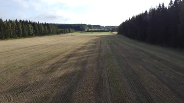 Drönaren Flyger Snabbt Och Lågt Över Jordbruksmark Och Skog Finlands — Stockvideo