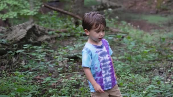 一人のブルネットの隔離された子供の終わり森の自然の中を歩く屋外 — ストック動画