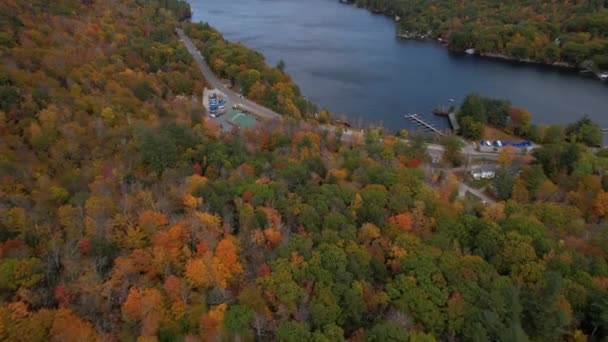 美国新罕布什尔州纽伯里市附近的Sunapee湖湾 秋天山顶的空中景观 宁静的风景 色彩斑斓的民居 倾斜的无人机拍摄 — 图库视频影像