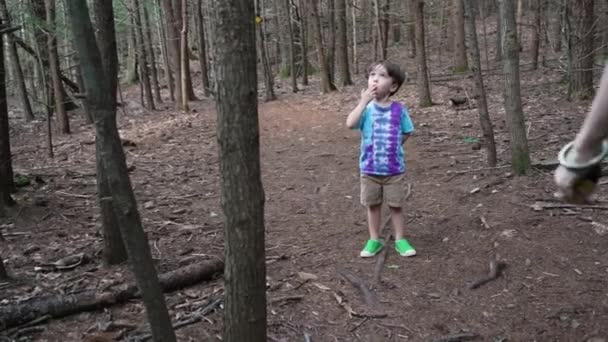 Mom Child Paying Attention Animal Insect Top Tree — Stock Video