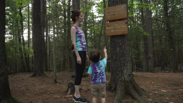 Máma Její Dítě Rozhodují Kterým Směrem Jít Uprostřed Lesa Woodstocku — Stock video