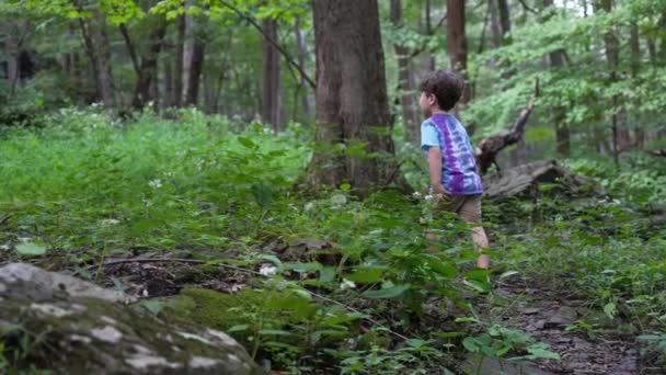 Yeşil Doğa Bitkilerinin Ağaçların Arasında Yürüyen Hippi Çocuk — Stok video