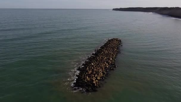 Ausgezeichnete Felseninsel Mit Ruhenden Vögeln Atlantik Argentinien — Stockvideo