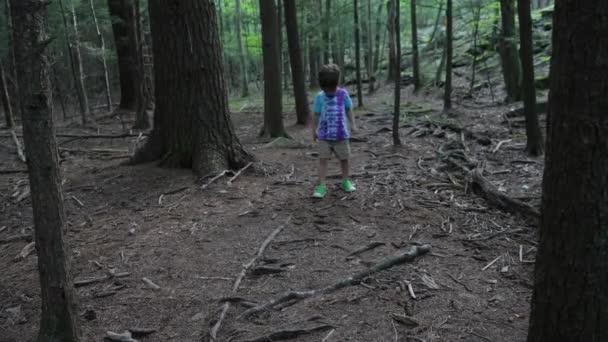 Little Boy Exploring Woods — Stock Video