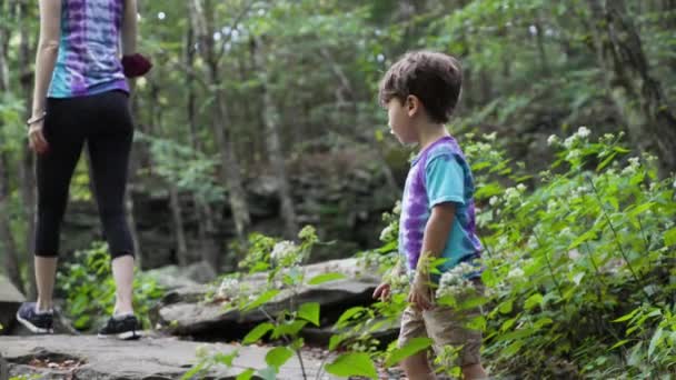 Vooraanzicht Van Een Jongen Zijn Moeder Tijdens Een Wandeling Een — Stockvideo