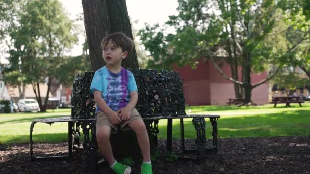 一位母亲走过来 坐在公园的长椅上枯萎了的儿子 — 图库视频影像
