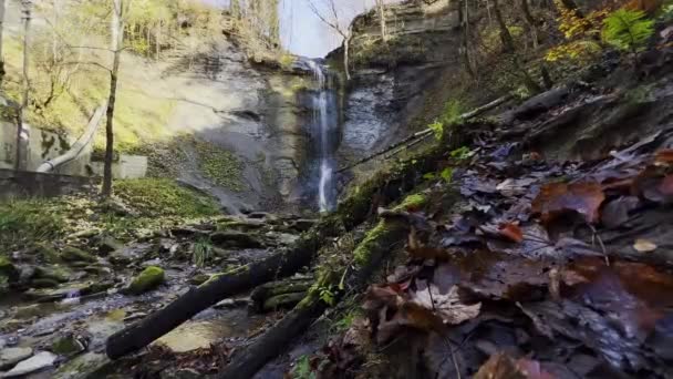 Super Weitwinkelaufnahme Des Zillhauser Wasserfalls Bei Albstadt Bäume Und Blätter — Stockvideo