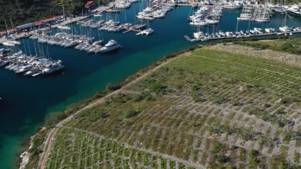 克罗地亚普里莫斯特港口和婴儿葡萄园的场景视图 无人驾驶飞机射击 — 图库视频影像