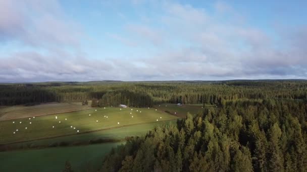 Increíble Disparo Aéreo Sobrevolando Parque Nacional Oulanka Finlandia — Vídeo de stock