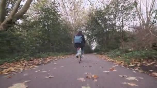 Nízký Sledovat Záběr Mladé Ženy Kole Podél Klidné Stezky Podzim — Stock video