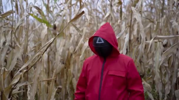 イカゲーム映画のコンセプト ピンクのジャンプスーツを着たマスクガードが畑でドライクロップを通って歩き カメラに銃を向けます ミディアムショット — ストック動画