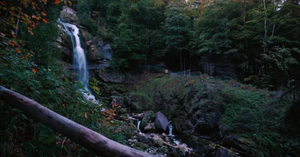 Steady Side View Moody Giessbach Waterfall Morning Splashing Rocks Lush — Stock Video