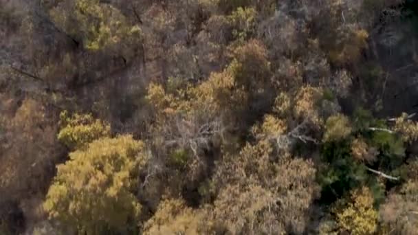 Una Padella Aerea Spaziosa Bellissimo Fiume Riflettente Tramonto — Video Stock