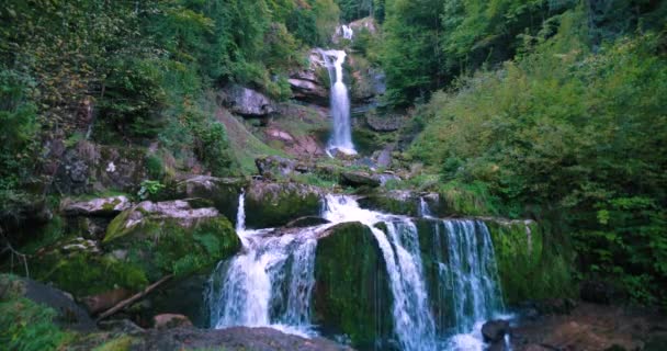 Moody Giessbach Vista Cachoeira Pela Manhã Salpicando Rochas Dentro Exuberante — Vídeo de Stock