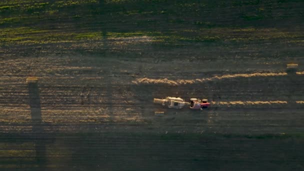 Arriba Hacia Abajo Aéreo Tractor Cayendo Fardos Tallos Maíz Campo — Vídeos de Stock