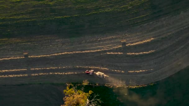 Aire Arriba Hacia Abajo Tractor Empacando Maíz Levantando Polvo Finales — Vídeo de stock