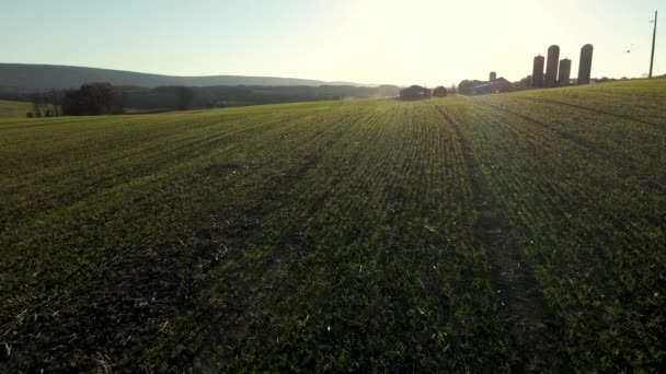 Aerial Cover Crop Seedlings Rural Pennsylvania Stany Zjednoczone Ameryki — Wideo stockowe