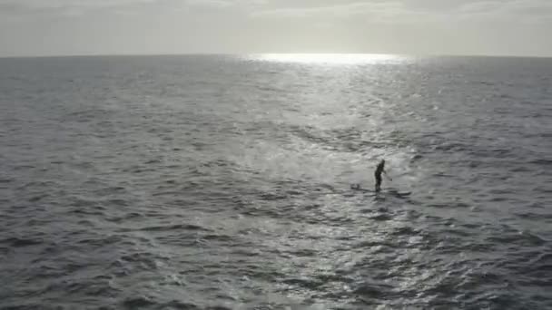 Человек Гребной Доске Силуэт Солнечном Луче Океане Набухает — стоковое видео