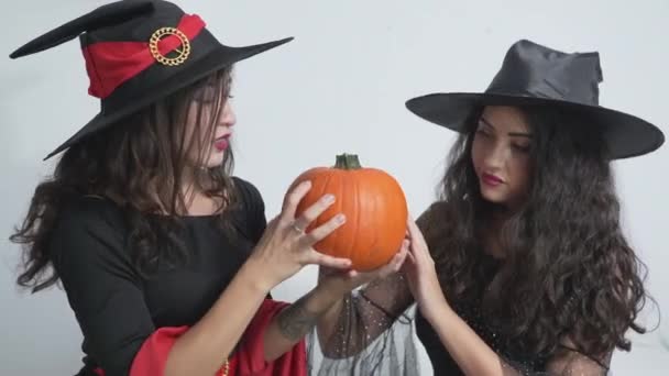 Prachtige Vriendinnen Halloween Witch Hat Costume Holding Feeling Smooth Texture — Stockvideo