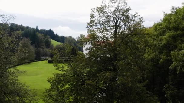 Revealing Shot Bogensperk Castle Bushes Trees Central Slovenia Дрон Боком — стоковое видео