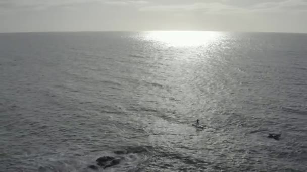 Grijze Oceaanantenne Stijgt Trekt Zich Terug Van Sup Paddleboarder Bij — Stockvideo