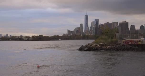 Man Swimming Bay New York City Skyline Background — Stock Video