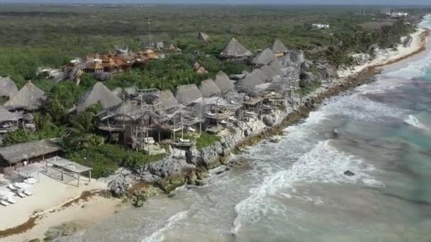 해변에는 멕시코에 라라는 나무거처 있습니다 — 비디오
