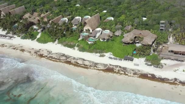 Papaya Playa Project Hotel Tulum Con Bosque Fondo México Aerial — Vídeos de Stock