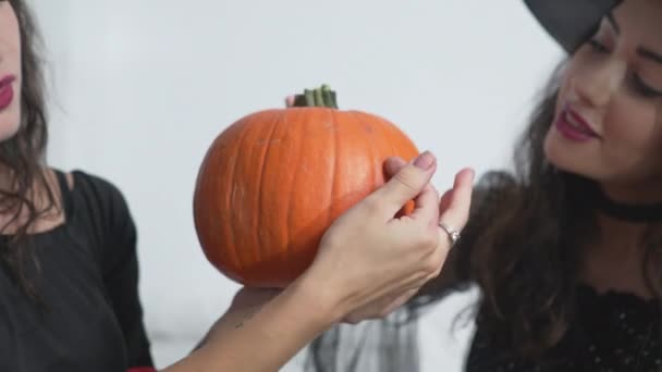 Two Women Wearing Witch Costume Halloween Touching Feeling Pumpkin Close — Stock Video