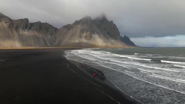 Aerial View Black Sand Beach Coastline Iceland Person Red Jacket — Stock Video