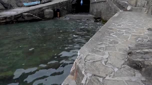 Riomaggiore Cinque Terre Puerto Con Barcos Casas Colores — Vídeo de stock