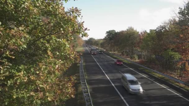 Vozidla Dálnici A28 Obklopená Podzimními Barevnými Stromy Veluwe Nizozemsko Široký — Stock video