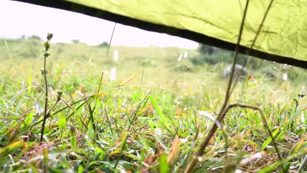Cuplikan Sinematik Hujan Tetes Jatuh Atas Tenda Warna Hijau Dan — Stok Video