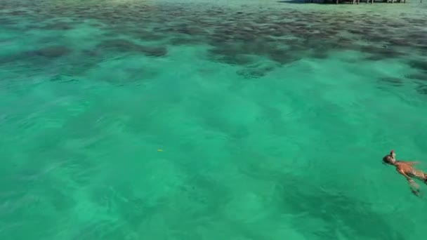 Молодая Женщина Плавает Ныряет Яркой Красочной Чистой Бирюзовой Воде Рядом — стоковое видео
