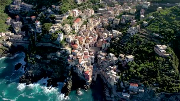 Cinque Terre Village Kikötő Földközi Tenger Partján — Stock videók