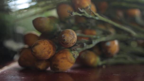 Aproxima Filma Perto Uma Fruta Areca Mesa Foco Superficial — Vídeo de Stock