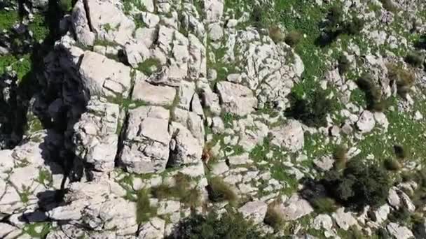 Disparo Dron Giratorio Hombre Negro Local Caminando Entre Las Rocas — Vídeo de stock