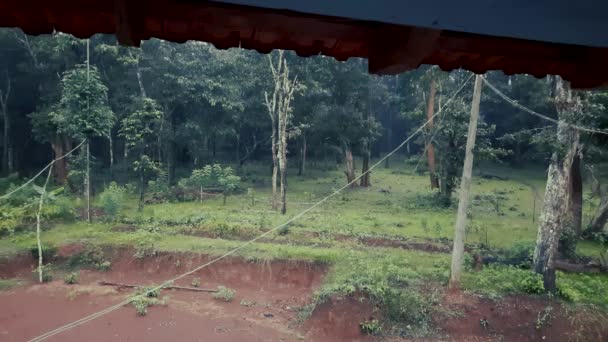 Yağmurlu Bir Günde Kapalı Alandan Tarlaları Gözlemlemek Parazit — Stok video