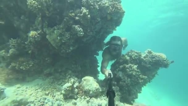 Uzun Saçlı Sakallı Genç Zinde Güçlü Bir Adam Mercan Resifleri — Stok video